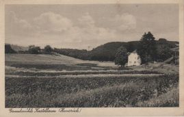 Hier geht es zur Karte mit dem Motiv 'Wiesen und Wald bei der Grundmühle' Hier geht es zur Karte mit dem Motiv 'Wiesen und Wald bei der Grundmühle'