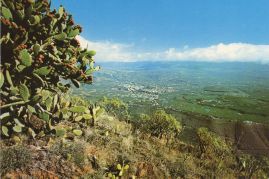 Hier geht es zur Karte mit dem Motiv 'Los Llanos vom Aussichtspunkt' Hier geht es zur Karte mit dem Motiv 'Los Llanos vom Aussichtspunkt'