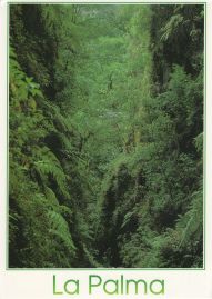 Hier geht es zur Karte mit dem Motiv 'Enge und tiefe Schlucht' Hier geht es zur Karte mit dem Motiv 'Enge und tiefe Schlucht'
