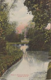 Hier geht es zur Karte mit dem Motiv 'Schwäne auf spiegelndem Wasser' Hier geht es zur Karte mit dem Motiv 'Schwäne auf spiegelndem Wasser'