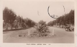 Hier geht es zur Karte mit dem Motiv 'Palm Avenue in Leeton' Hier geht es zur Karte mit dem Motiv 'Palm Avenue in Leeton'