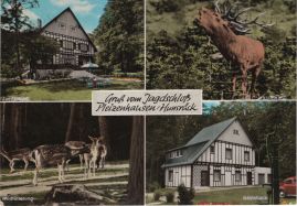 Hier geht es zur Karte mit dem Motiv 'Ein Hirsch und andere Tiere' Hier geht es zur Karte mit dem Motiv 'Ein Hirsch und andere Tiere'