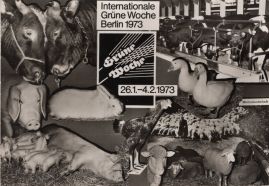 Hier geht es zur Karte mit dem Motiv 'Schafe, Schweine, Kühe und ein Hahn' Hier geht es zur Karte mit dem Motiv 'Schafe, Schweine, Kühe und ein Hahn'