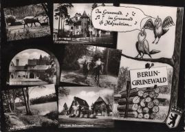 Hier geht es zur Karte mit dem Motiv 'Wildschweine und Reiter im Wald' Hier geht es zur Karte mit dem Motiv 'Wildschweine und Reiter im Wald'