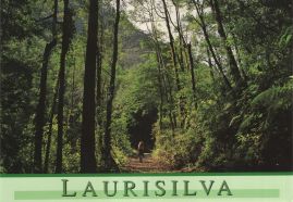 Hier geht es zur Karte mit dem Motiv 'Ein Weg im Lorbeerwald' Hier geht es zur Karte mit dem Motiv 'Ein Weg im Lorbeerwald'