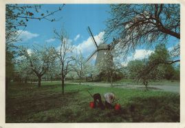 Hier geht es zur Karte mit dem Motiv 'Gartenarbeit bei der Windmühle' Hier geht es zur Karte mit dem Motiv 'Gartenarbeit bei der Windmühle'
