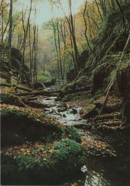 Hier geht es zur Karte mit dem Motiv 'Ehrbachtal an einem Herbsttag' Hier geht es zur Karte mit dem Motiv 'Ehrbachtal an einem Herbsttag'