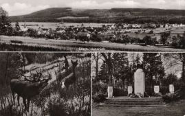 Hier geht es zur Karte mit dem Motiv 'Hirsche, Panorama und Kriegerdenkmal' Hier geht es zur Karte mit dem Motiv 'Hirsche, Panorama und Kriegerdenkmal'
