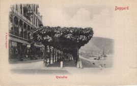 Hier geht es zur Karte mit dem Motiv 'Schattenspendende Bäume am Rhein' Hier geht es zur Karte mit dem Motiv 'Schattenspendende Bäume am Rhein'