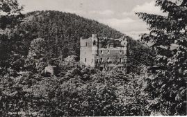 Hier geht es zur Karte mit dem Motiv 'Laubbäume an der Burgruine' Hier geht es zur Karte mit dem Motiv 'Laubbäume an der Burgruine'