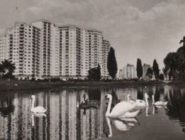 Hier finden Sie Karten mit dem Motiv 'Märkisches Viertel'