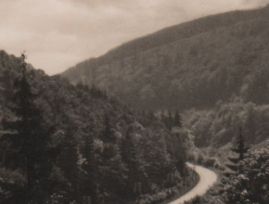 Hier finden Sie Karten mit dem Motiv 'Guldenbachtal'